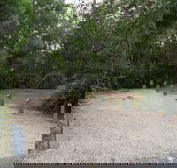 Springbrook National Park camping - Yamba Accommodation
