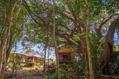 The African Village - By Clouds - Yamba Accommodation 0