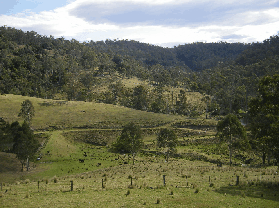 Yasuragi Cabins - Yamba Accommodation