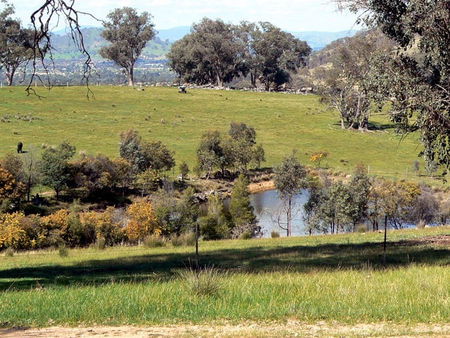 Gaddleen Grove Cottages - Yamba Accommodation 3