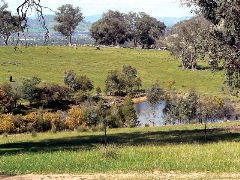 Gaddleen Grove Cottages - Yamba Accommodation 5