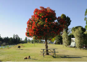Stratford On The River Tourist Park - Yamba Accommodation 2