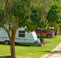 A Wangralea Caravan Park - Yamba Accommodation