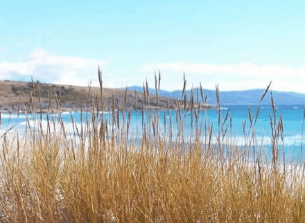 White Sands Estate - Yamba Accommodation
