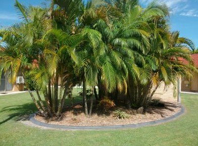 Yamba Motor Inn - Yamba Accommodation 5