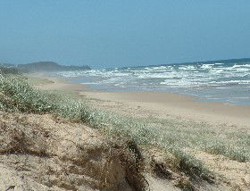 Beachcomber Peregian Beach - Yamba Accommodation 4
