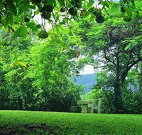 Misty Mountain Retreat