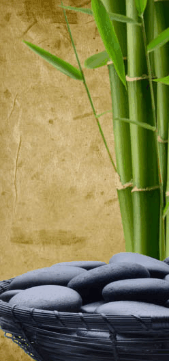 Je Suis Femme - Yamba Accommodation 3