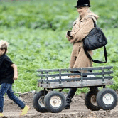 Perth City Farm Organic Markets - Yamba Accommodation