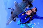 Simply Skydive - Yamba Accommodation 2