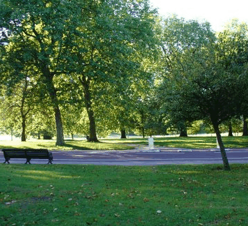 William Taylor Park - Yamba Accommodation