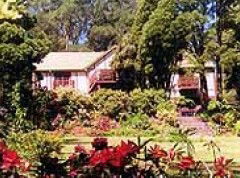  Yamba Accommodation