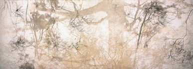 Dianne Tanzer Gallery & Projects - Yamba Accommodation 3