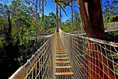  Yamba Accommodation
