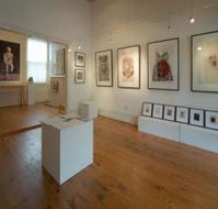 Bird's Gallery - Yamba Accommodation