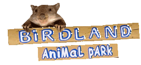 Birdland Animal Park - Yamba Accommodation