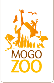Mogo Zoo - Yamba Accommodation