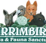 Wirrimbirra Sanctuary - Yamba Accommodation