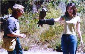 Eagles Heritage - Yamba Accommodation 2