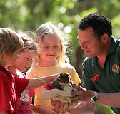 Cleland Wildlife Park - Yamba Accommodation