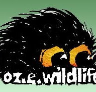 OZe Wildlife - Yamba Accommodation