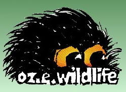 OZe Wildlife - Yamba Accommodation 0