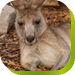 Wakeley NSW Yamba Accommodation
