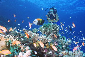 The Whitsundays QLD Yamba Accommodation