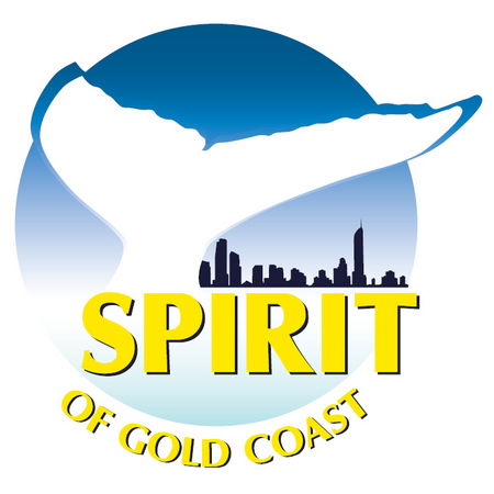 Spirit Of Gold Coast Whale Watching - Yamba Accommodation 0