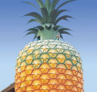 The Big Pineapple - Yamba Accommodation