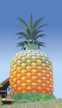 The Big Pineapple - Yamba Accommodation 0