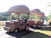 The Big Pineapple - Yamba Accommodation 2