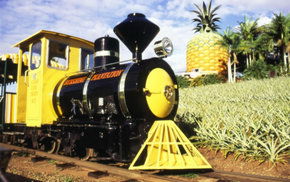 The Big Pineapple - Yamba Accommodation 3