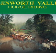Glenworth Valley Horseriding - Yamba Accommodation