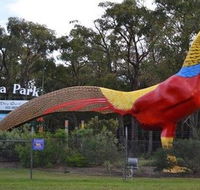 Gumbuya Park - Yamba Accommodation