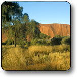 Yuendumu NT Yamba Accommodation