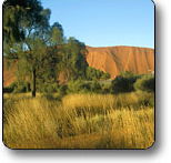 Uluru - Kata Tjuta National Park - Yamba Accommodation