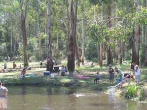 Buxton Trout And Salmon Farm - Yamba Accommodation 3