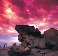 Kangaroo Island Adventure Tour 2 day/1 night - Yamba Accommodation