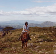 High Country Horses - Yamba Accommodation
