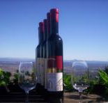 Mount Tamborine Winery  Homestead - Yamba Accommodation