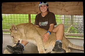 Cairns Wildlife Safari Reserve - Yamba Accommodation 1