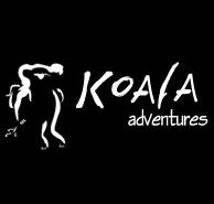 Koala Adventures - Yamba Accommodation