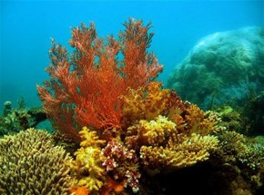 Exmouth WA Yamba Accommodation