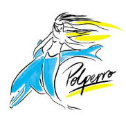 Polperro Dolphin Swims