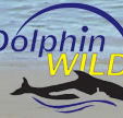 Dolphin Wild - Yamba Accommodation