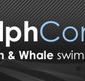 Dolphcom - Dolphin  Whale Swimming Adventures - Yamba Accommodation