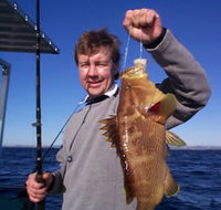 Downunder Charters - Yamba Accommodation