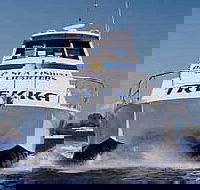 Sunshine Coast Fishing Charters - Yamba Accommodation