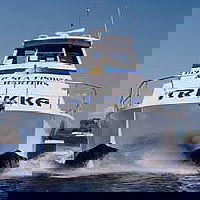 Sunshine Coast Fishing Charters - Yamba Accommodation 0
